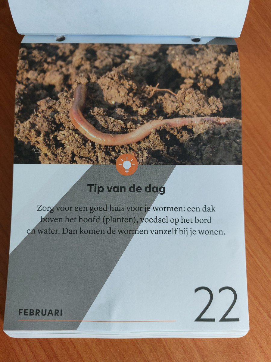 Deze foto in de #bodemscheurkalender is van 3 maanden geleden, maar vandaag is het de #Internationale #dag van de #biodiversiteit en dus verdient het bodemleven wel wat extra aandacht.