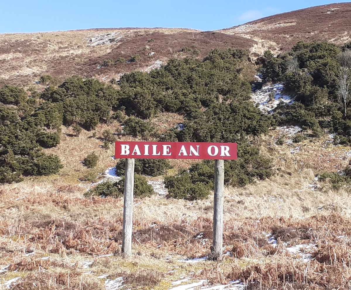 Lorne MacLeod tweet media