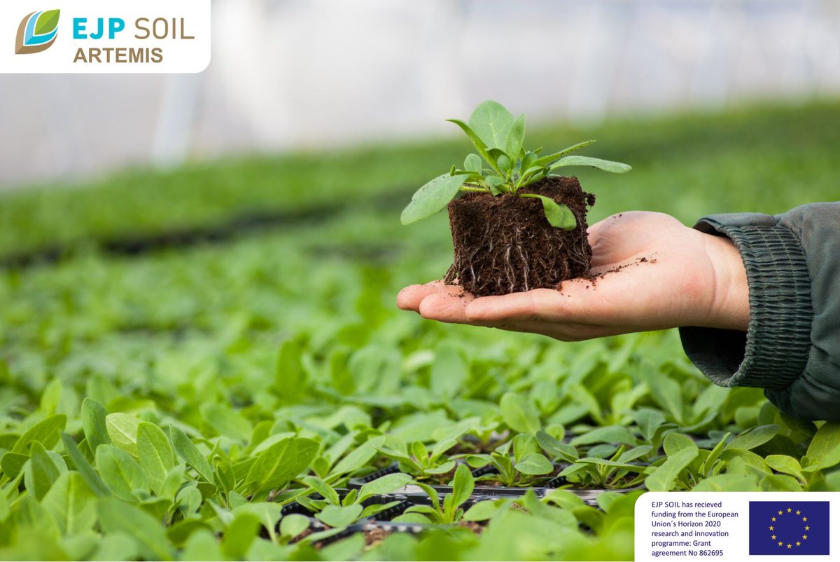 EJPSOIL_Artemis's tweet photo. 22 May Interanational Day for Biological Diversity
#EJPSOILARTEMIS run #laboratoryexperiments to study how #Soilmicroorganisms help mitigate negative effects #climatechange https://t.co/POzzQeNtkM