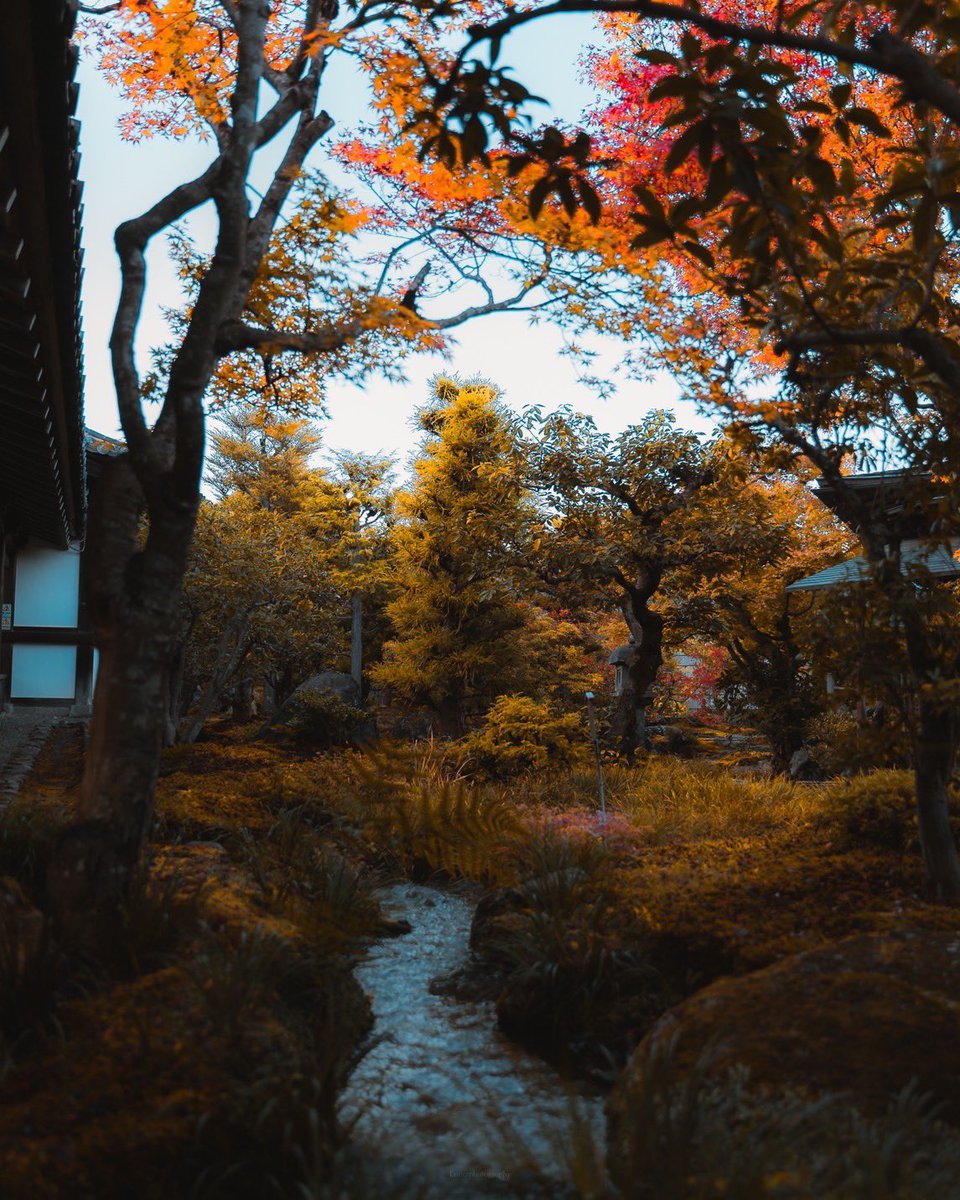 kwekuloner's tweet photo. Little Paradise 🍂🍁

📍Kyoto, Japan. https://t.co/jUiW89BAMy