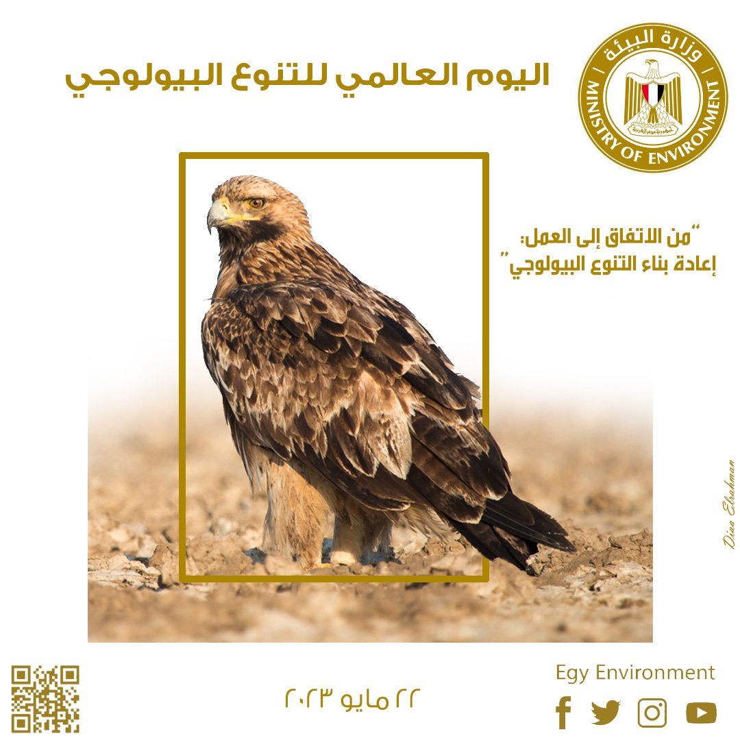 Ministry of Environment - وزارة البيئة 🇪🇬 tweet media