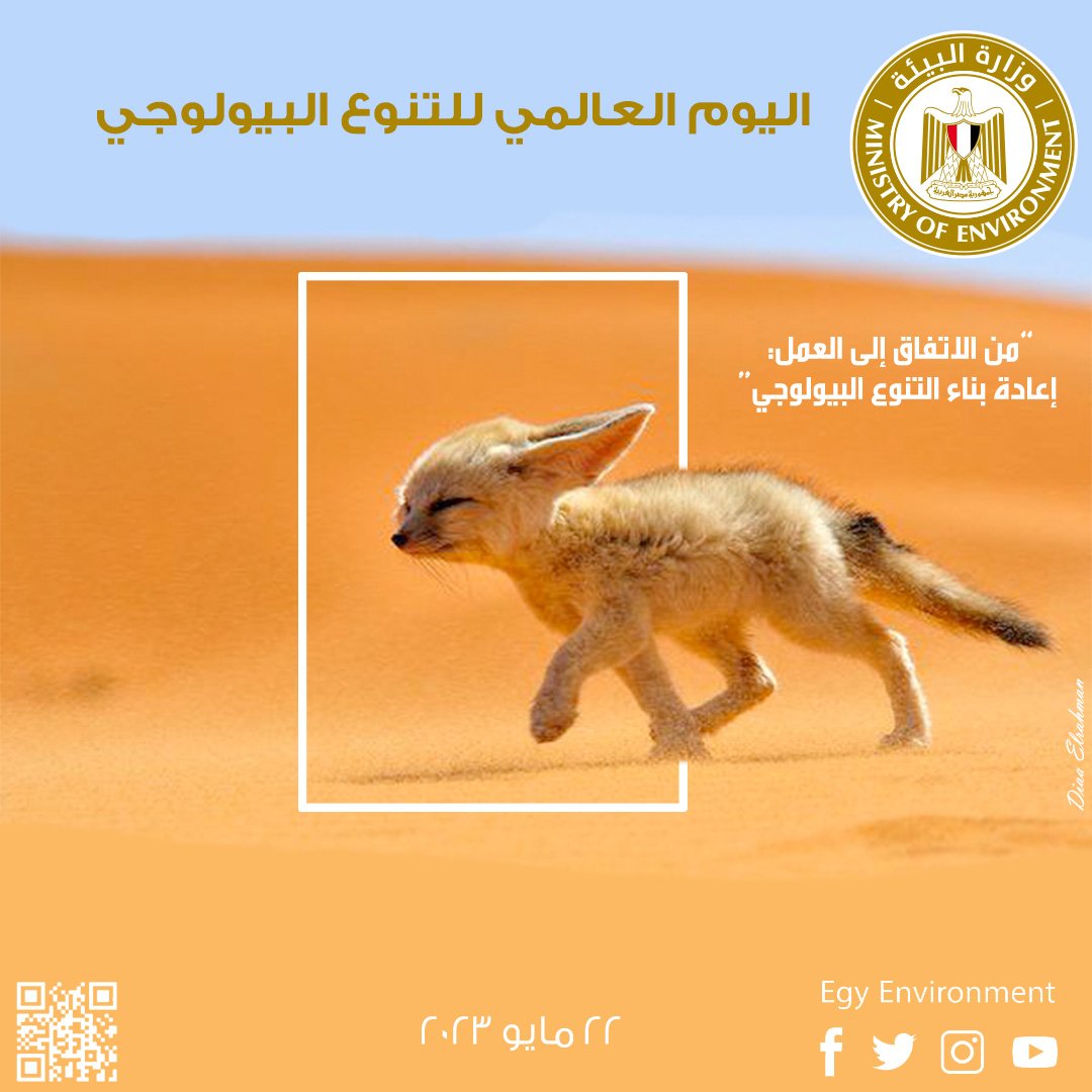 Ministry of Environment - وزارة البيئة 🇪🇬 tweet media