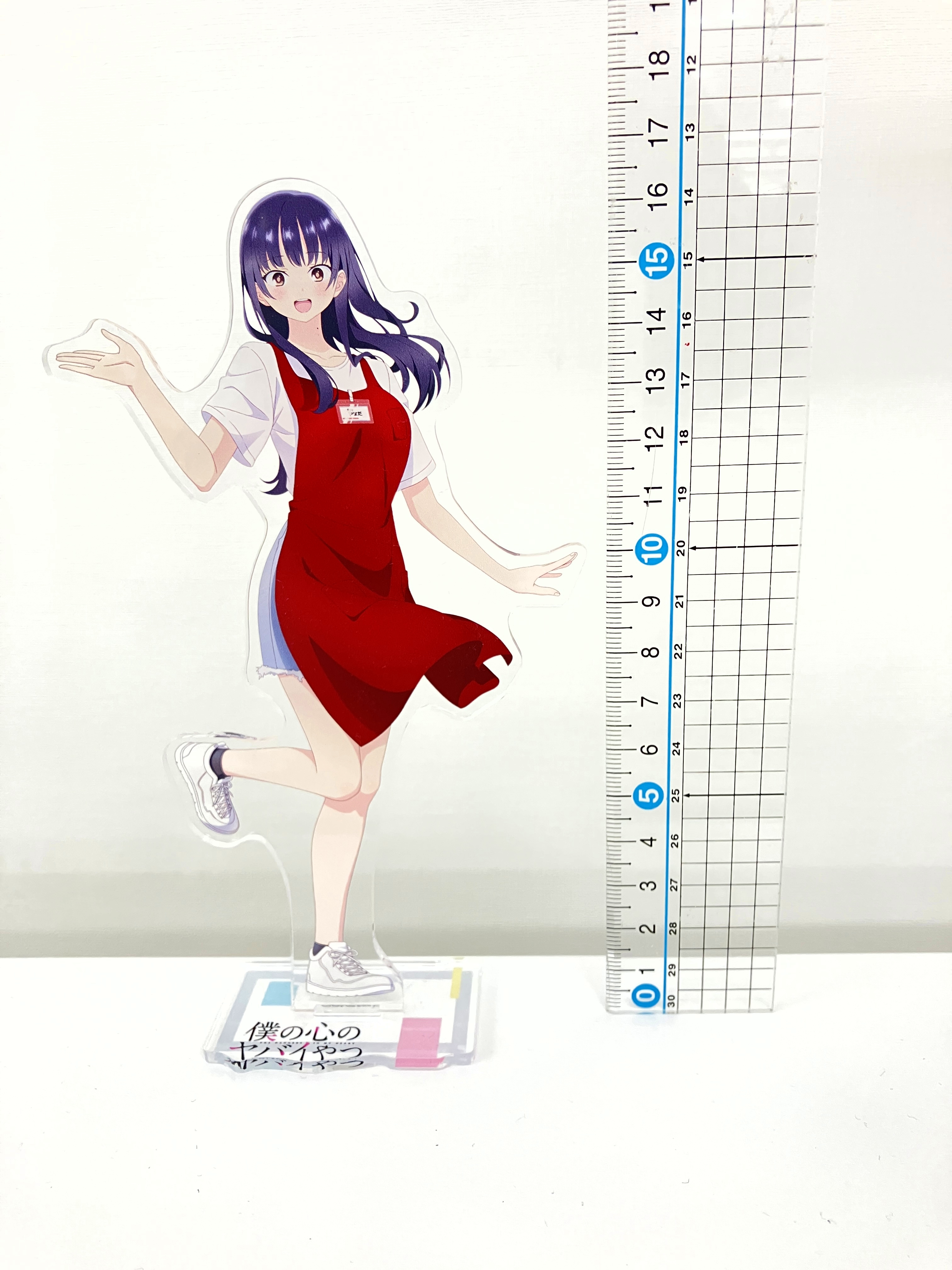 COMIC ZIN 通信販売/商品詳細 【特装版】僕の心のヤバイやつ 第11巻