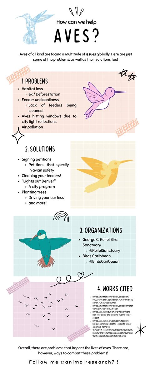 animalresearch7's tweet photo. Here is an infographic that I made about hummingbirds! #39canimals #hummingbirds https://t.co/bhSFTw5rHv