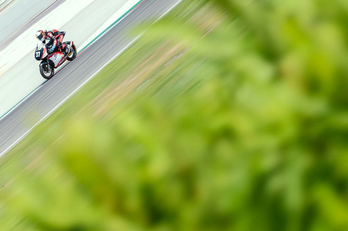 Pablo Carmona tweet media