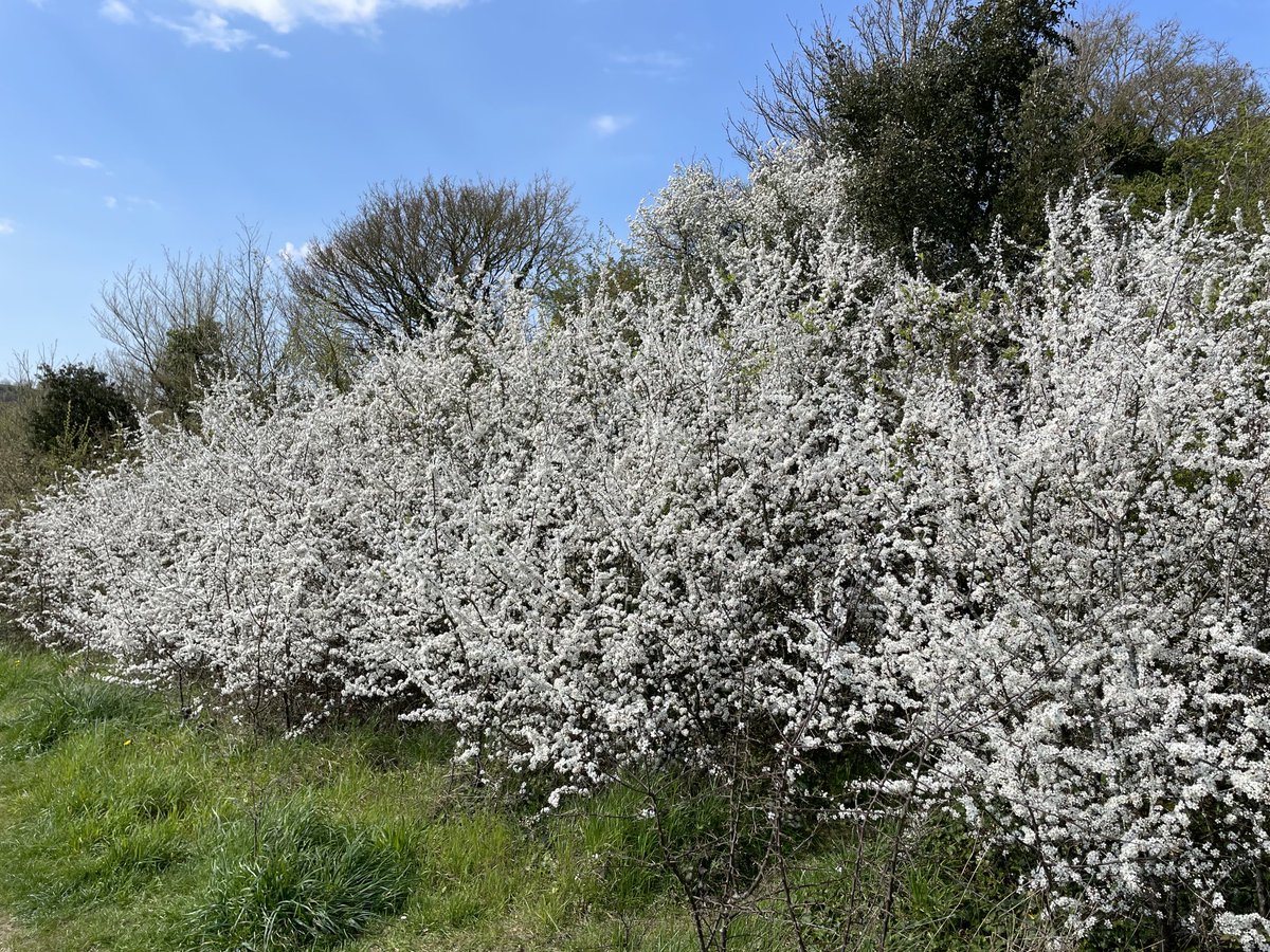 WorthingCAN 🌍 tweet media