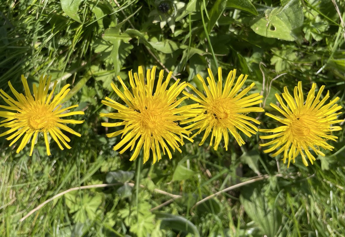 WorthingCAN 🌍 tweet media