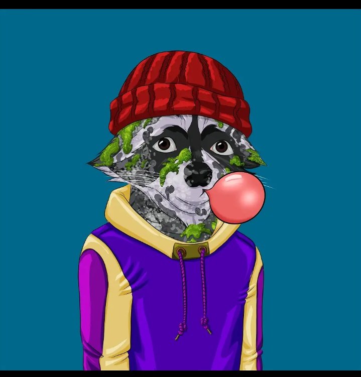 adeolalgo_24's tweet image. Hey #algofam💜
🚨Giveaway for AlgoRaccoon #930🔥
✅Like &amp;amp; Retweet
✅Follow @CryptoAndzaans @adeolalgo_24 and @AlgoRaCCoon
✅Join CryptoAndzaans discord 👇
▶️discord.gg/pVbg7q8S
✅ Push party hat on this giveaway🎉
#Algofam #Giveaways
36 hours