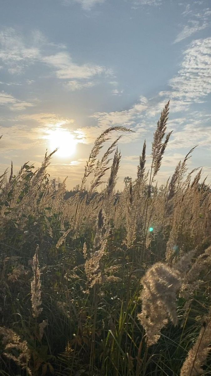 Доброго раночку, дівчата і хлопці! 🌾🫂💛
Всю ночь с донечкою читали и разговаривали, как же не хватает этих вечеров сейчас. Она уже такая взрослая, что каждый проведённый с нею момент я ценю так, словно провёл его сл своею женою!
Я желаю вам хорошего дня и чудового настроения!