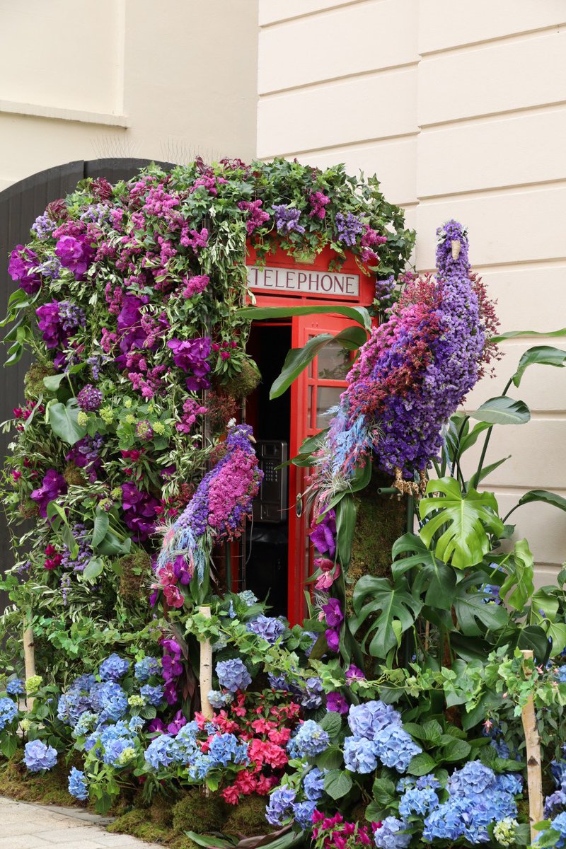 The_smell_of_roses tweet media