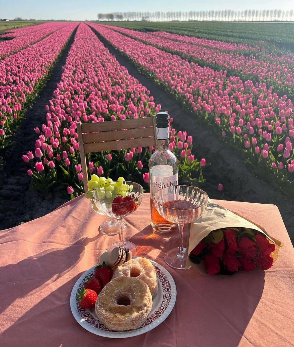 artindetails's tweet photo. 🌷 date in a field of tulips https://t.co/H5wwb10VFk