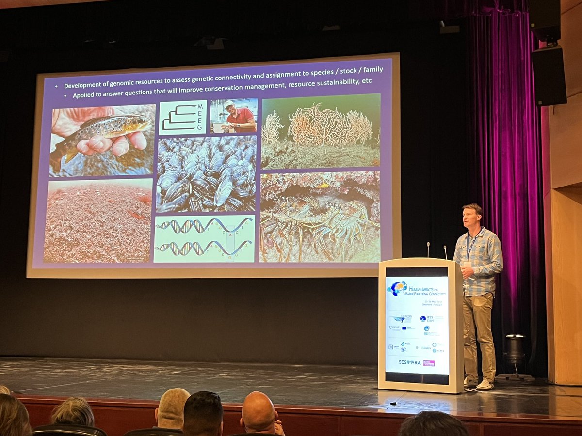 Dr Charlie Ellis elicits gasps from the audience as he presents his work to identify hybrid lobsters with a panel of only 12 SNPs! Amazing!!!
#ImpactsMFC