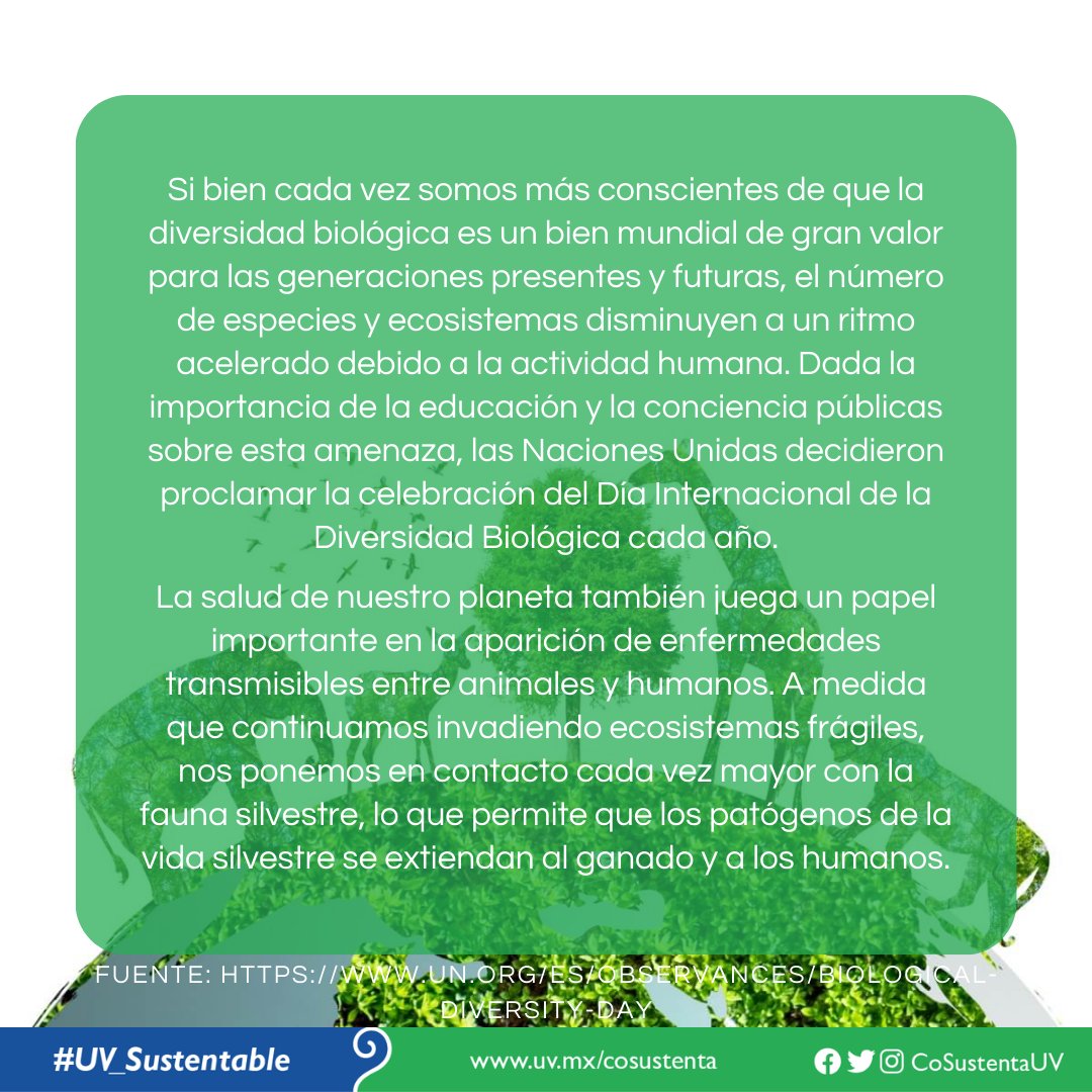 📅22 de mayo Día Internacional de la Diversidad Biológica. #UV_Sustentable #Xalapa #Veracruz #BocaDelRío #PozaRica #Tuxpan #Córdoba #Orizaba #Coatzacoalcos #Minatitlán #Sustentabilidad #CoSustenta #CoSustentaUV #EfeméridesSustentables #DiversidadBiológica