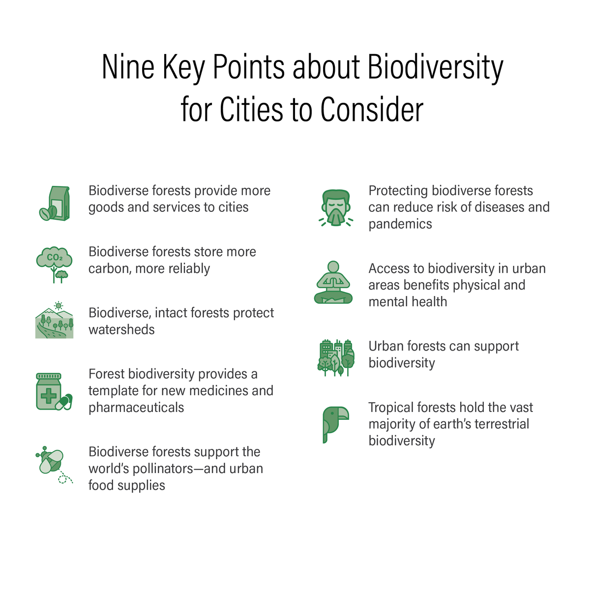 Cities have the power to protect &amp; conserve forests, providing vital resources for their populations &amp; mitigating the climate crisis. 🌎🌳 Join us in celebrating #BiodiversityDay and promoting sustainable management of forests near and far! 

Learn more ➡️bit.ly/3MKKvL1