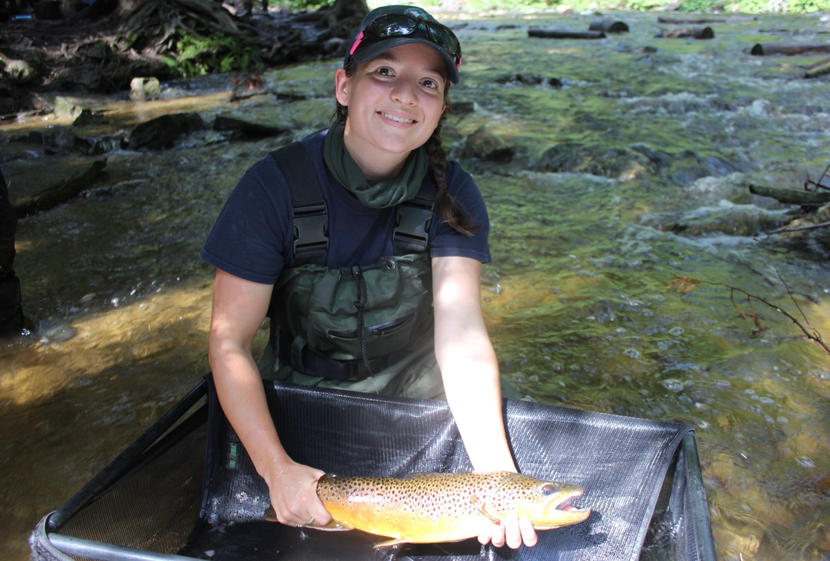 CVC_CA's tweet photo. Have you ever tried electrofishing? All summer long, we have electrofishing volunteer days happening across the Credit River Watershed. Come learn about this important job, plus earn volunteer hours! Learn more: https://t.co/ELeBegiRM9 https://t.co/g5ZcyzQu0d