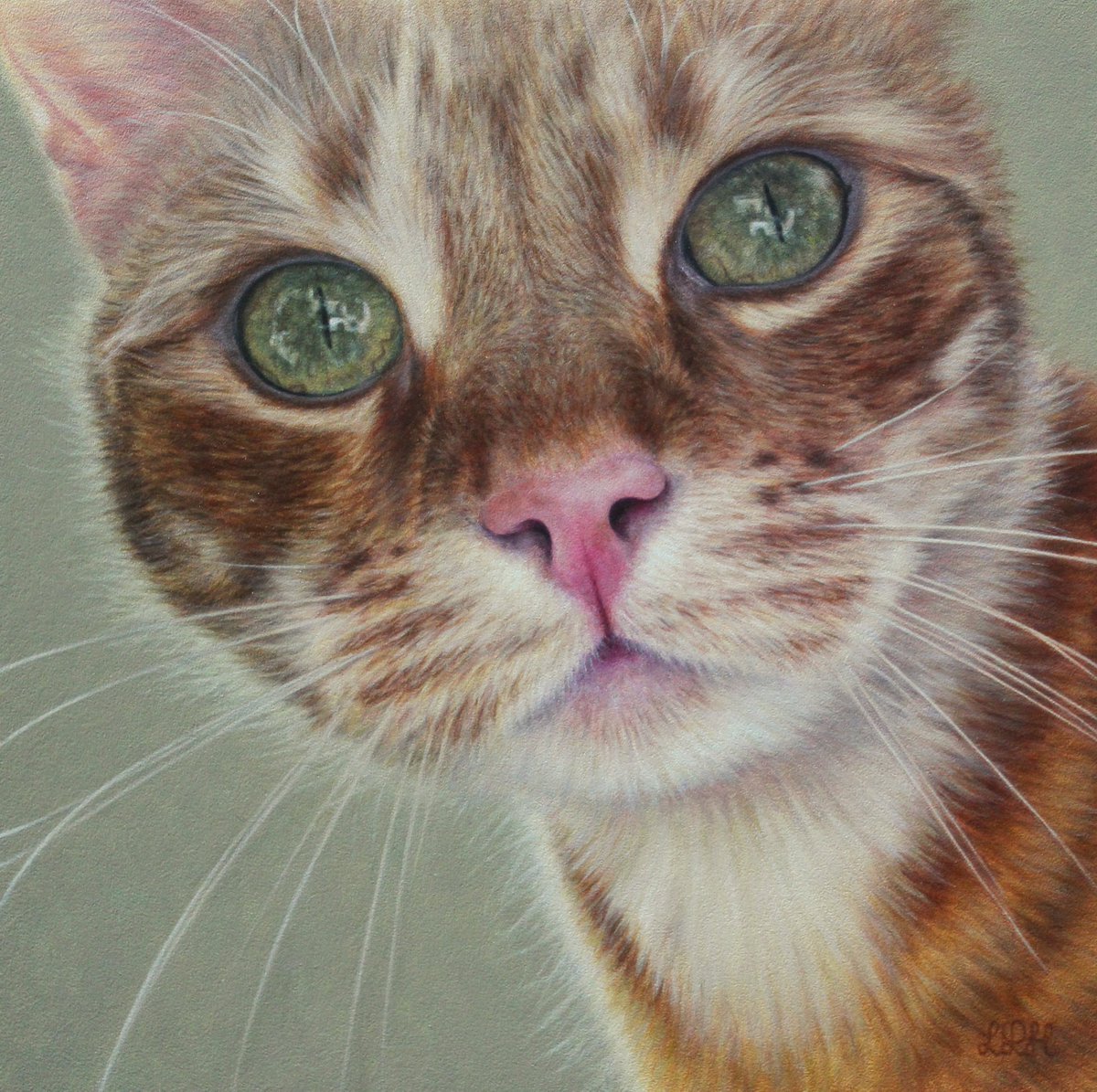 Apologies for the lack of posts recently - I'm working flat out on commissions at the moment so I don't have much I can share right now, but here's one I finished last month: Arthur Oil on board 9' x 9' #petportrait #catpainting #catsoftwitter