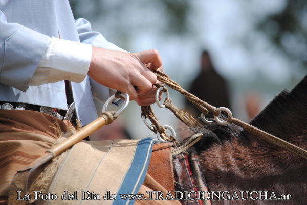 tradiciongaucha's tweet photo. 📸 #FotoDelDía #Riendas #Rebenque #Tradición
https://t.co/JAtNwCT7Na https://t.co/5KkPYZPL2c