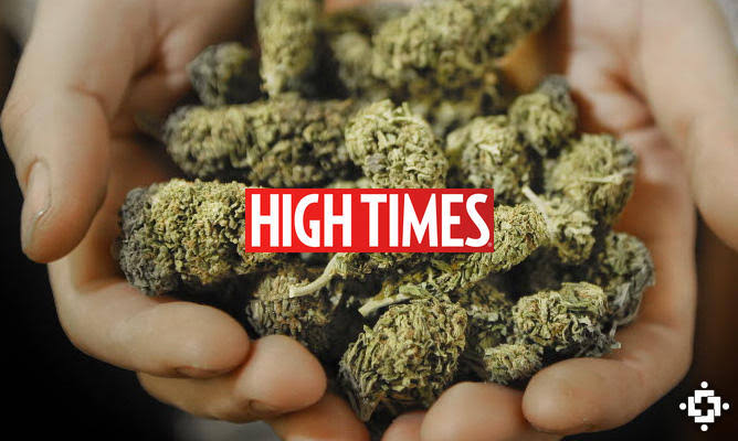 SarahAPearsonn's tweet photo. Exciting times for mental health innovation! Lucy Scientific Discovery and High Times join forces to explore the therapeutic benefits of psychoactive compounds. A game-changer for the industry! #MentalHealthInnovation #PsychoactiveCompounds #HighTimes #LucyDiscovery $LSDI https://t.co/HEn3Q2wyLz