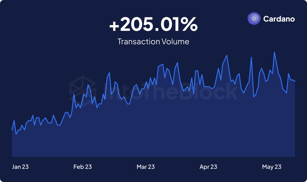 cardano transactions