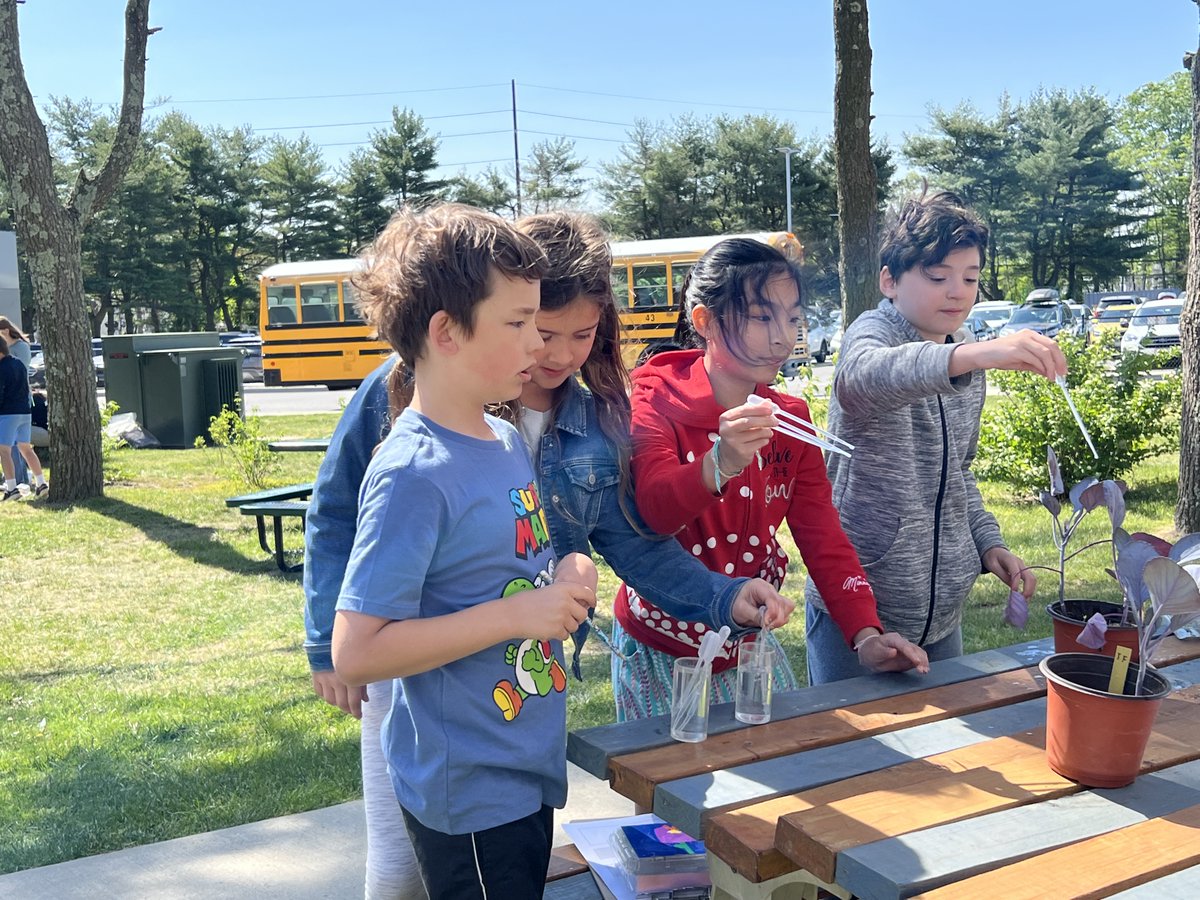 Principal Harrison tweet media