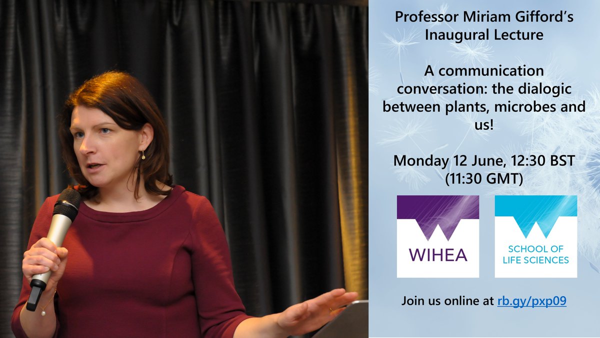 Warwick International Higher Education Academy tweet media
