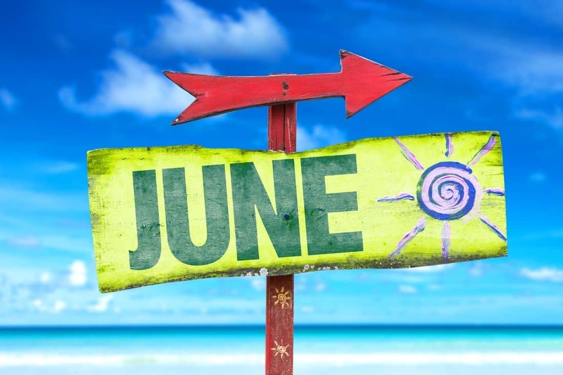 PortSolentRes's tweet photo. Start your summer at the next RAPS Quiz Night, Thursday 1st June, 7.30 pm (sharp!) at The Botanical. £2 per person, teams of six max, cash bar, prizes, fun. https://t.co/lhPPS765q0