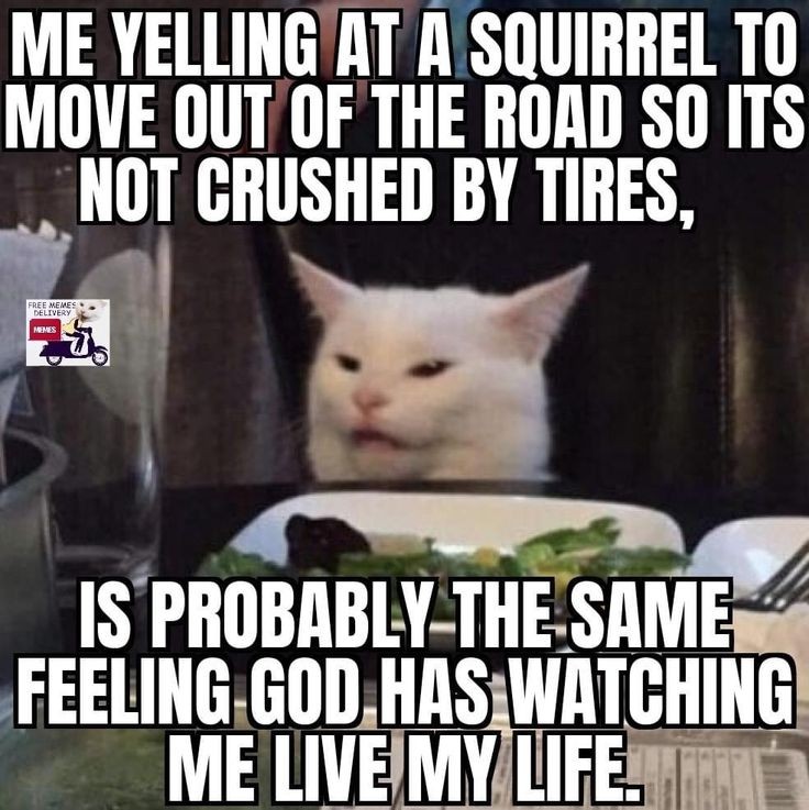 Waywardtygress's tweet image. 