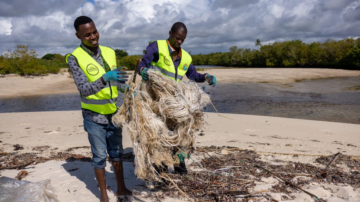 From the mesmerizing coral reefs in our oceans to the towering rainforests teeming with life, our world is a tapestry of ecosystems interwoven with countless species.@MoveTheWorldAF 
#biodiversityweek2023 #WorldBiodiversityDay #biodiversityfestival #Youth4Biodiversity