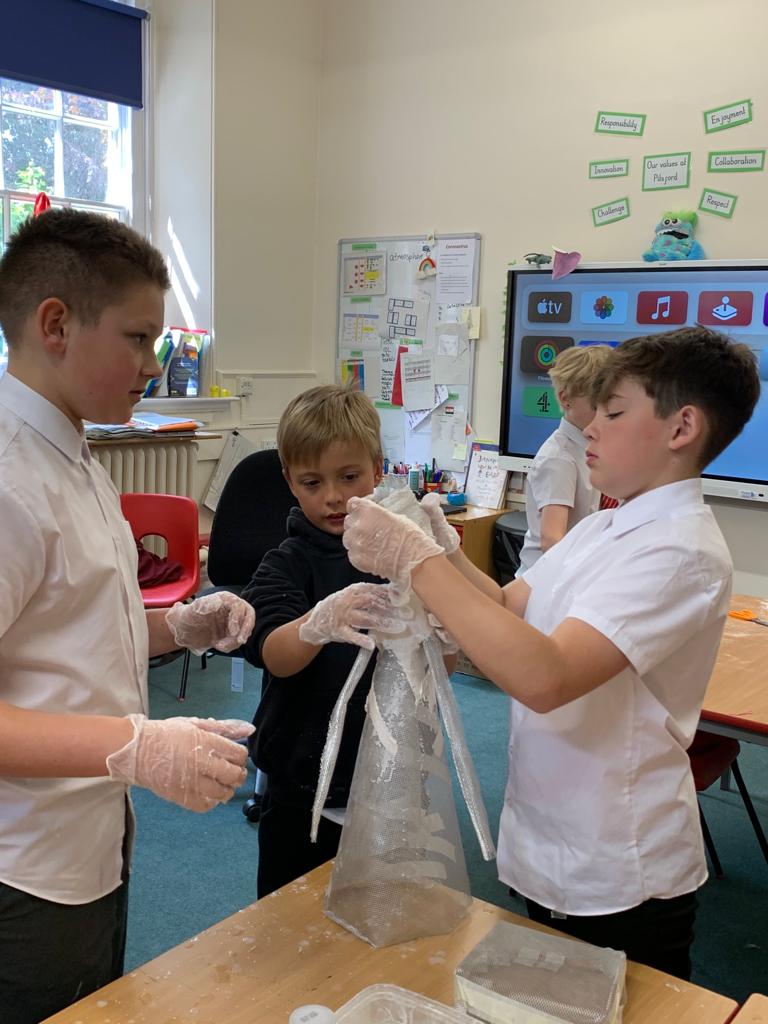 pitsfordprimary tweet media