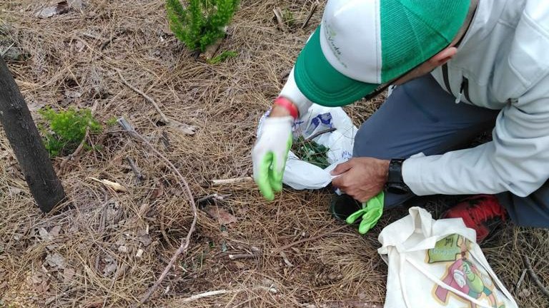 Des_Sostenible's tweet photo. Hasta La Caldera #LaOrotava nos fuimos el pasado sábado con @KmsVerdes y la Oficina de la Participación y el Voluntariado Ambientales de Tenerife #OPVA para localizar especies exóticas invasoras #BIOBLITZ
👏 Gracias por compartir esta experiencia tan gratificante https://t.co/b7zWjqbzky