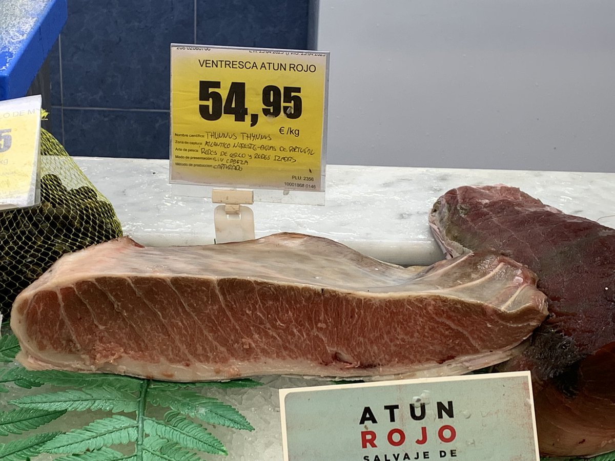 nacho_pelaez's tweet photo. Cuando llega a Asturias un poquito de ese manjar de dioses que es el atún rojo, hay que aprovecharlo. Y saborearlo con un vino disfruton como este Novetat Total de #EloiCedo. Además, como curiosidad, botella “de a litro” 😊😊 https://t.co/nvrtqVykwb