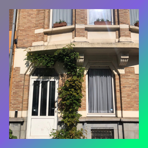 Contribuez à une commune plus verte! Verdissez votre façade!
#Etterbeek 
etterbeek.ecolo.be/news/115-contr…