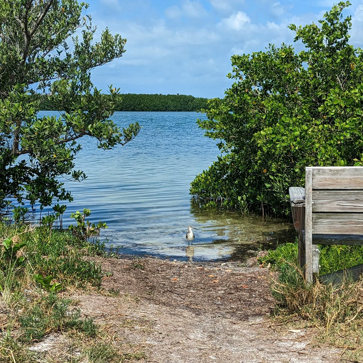 tinyocean_rving's tweet photo. Honeymoon Island State Park! 🥰

#RVTrip34 #Florida #FL #Clearwater #Honeymoon #HoneymoonIsland #Hiking #StatePark #HoneymoonIslandStatePark #Beach #Playground #Breakfast #CrackerBarrel #FreeOvernightParking #TinyOcean #Nature #Outdoors #Family #FamilyTime #Photography https://t.co/2eRp8tZn6L