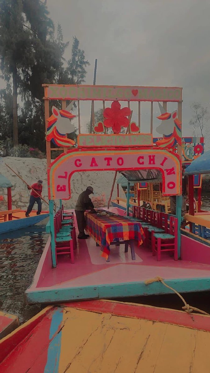 Ayer debería haber llegado a CDMX para montarme en esta trajinera del gato que me preparó un amigo. Pero el pinche volcán ese me tiene retenido en Mérida desde hace tres días 🫠