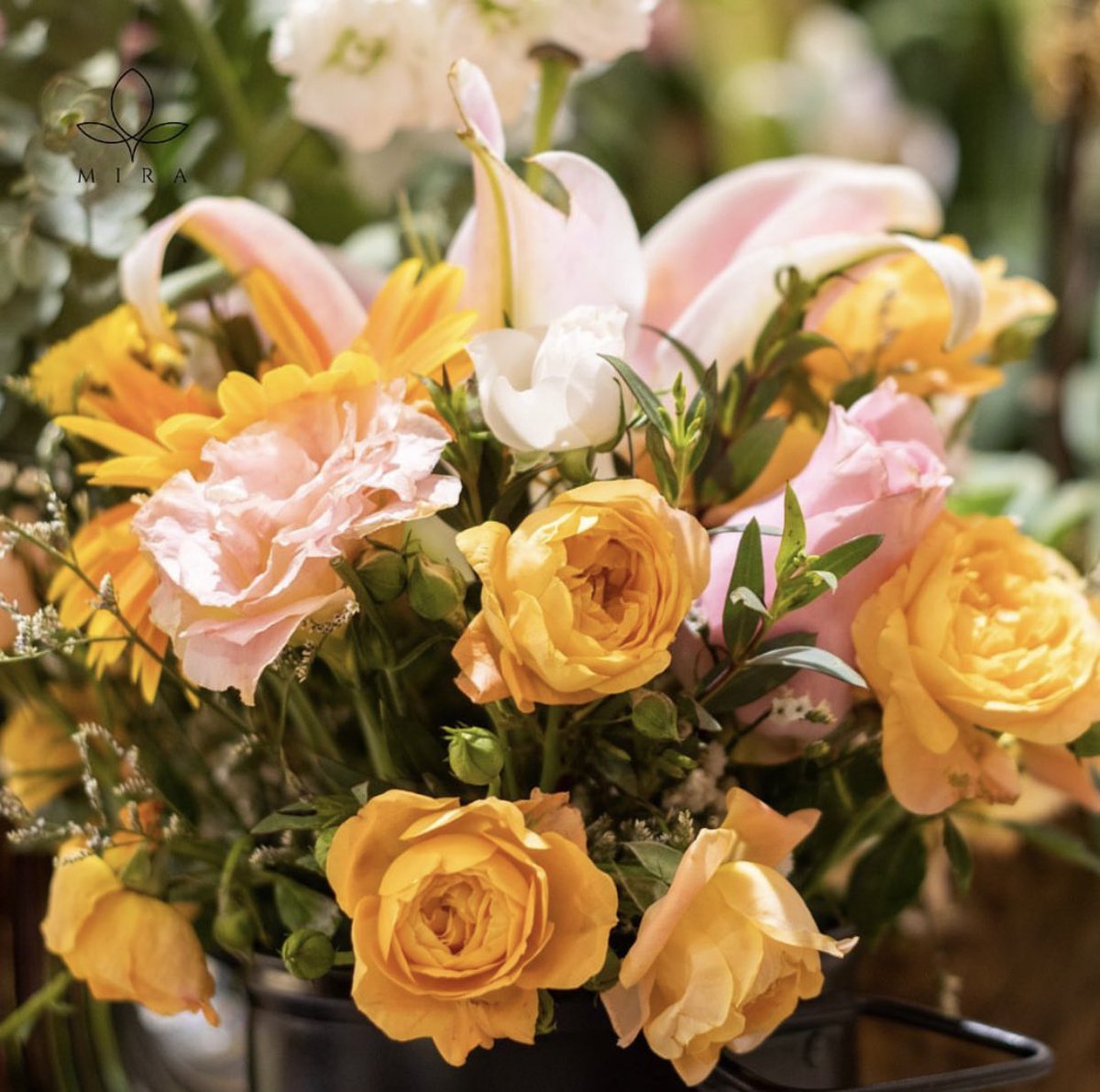 MIRALEFLEUR's tweet photo. Celebrate life's milestones with Mira Le Fleur! From birthdays to anniversaries, our premium blooms create unforgettable memories 🌸💐

DM to order or visit us at LG/F Mitsukoshi Fresh, BGC, Taguig! 🩷 https://t.co/GaxBlCSjz7