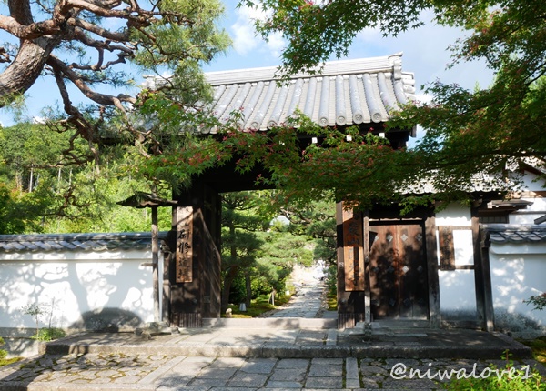 niwalove1's tweet photo. #圓光寺 ②
平成に作庭された #枯山水庭園 #奔龍庭 は、白砂を雲海に、石組を龍に、石柱を稲妻に見立てているそう☁️🐉⚡️
宝物館では #円山応挙 が境内の竹林をモチーフに描いた雨竹風竹図屏風や、日本最古の木活字を見ることができます❣️
盃型が珍しい、圓光寺型 #水琴窟 も☺️
#京都 #kyoto #enkoji https://t.co/g7fsDstZrX