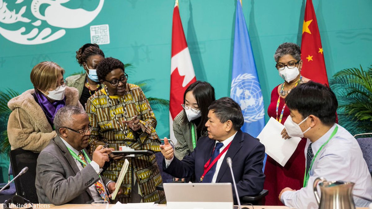 The world came together at #COP15 to adopt a new plan to set nature on the path to recovery and secure a #NaturePositive future.🦋🌍🌱

But will countries translate that ambition into action on the ground? Let’s make sure they do! #FromAgreementToAction #BiodiversityDay