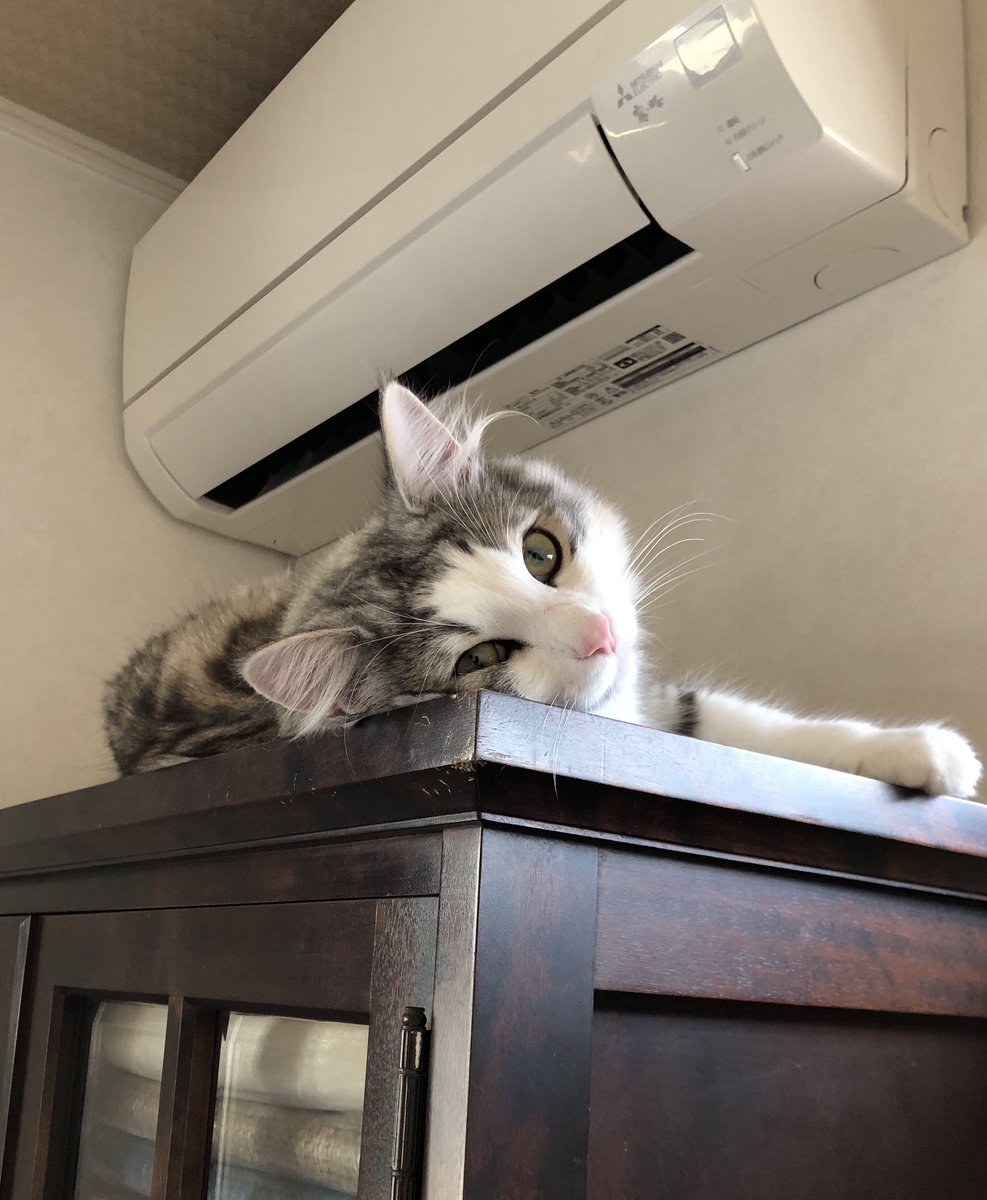 最近お気に入りの場所 https://t.co/PmYLw7zYb4