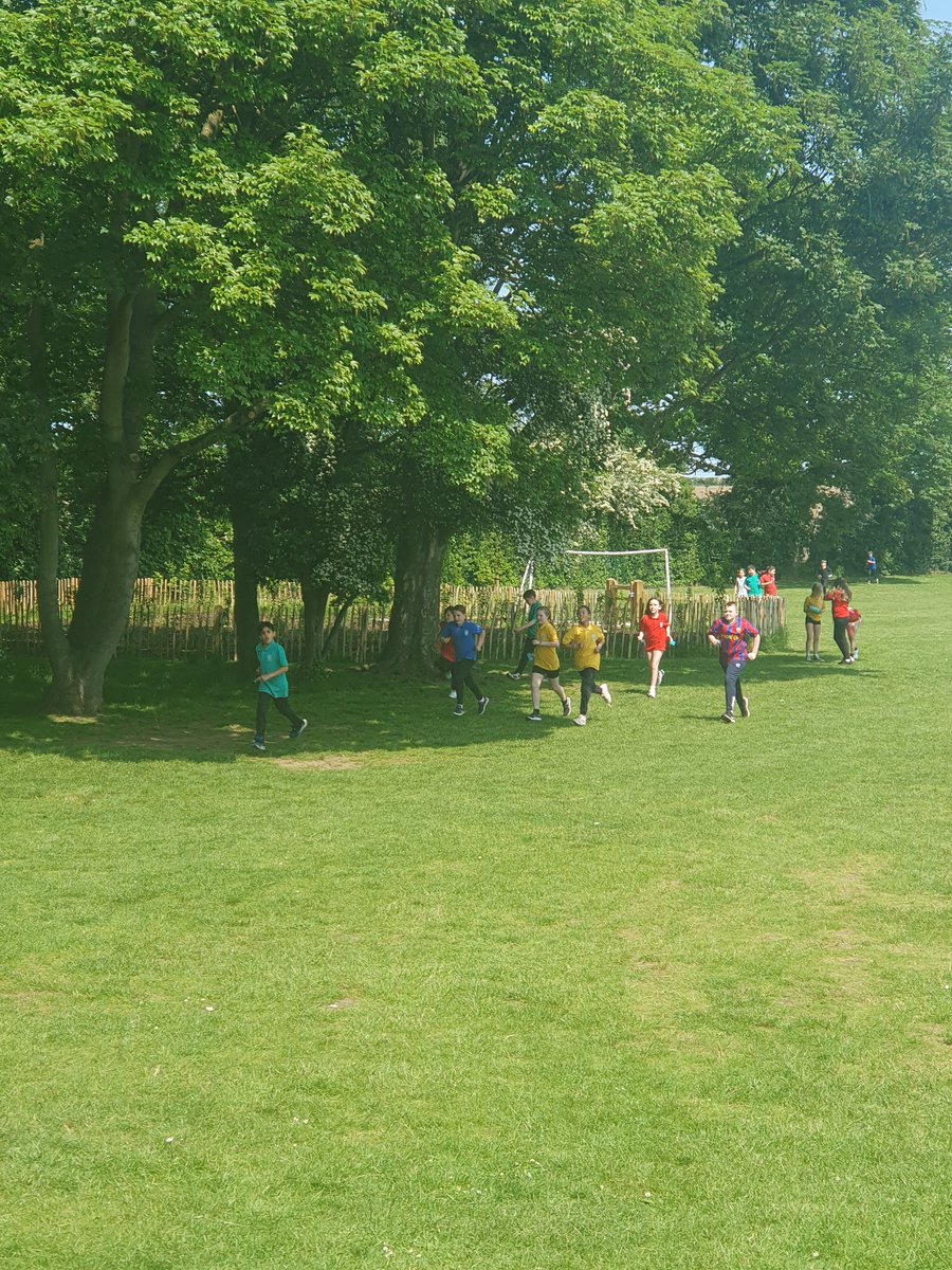 Y5Auckley tweet media