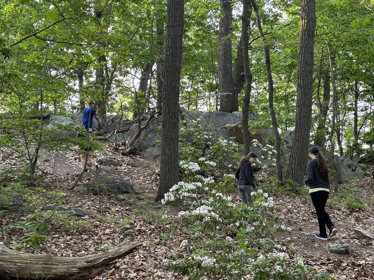 Our last day in the woods building shelters was a successful one! 
#eyms #EYKnightsLearn #EYedge #GD2BAK  #middleschool #middleschoolteacher #middleschoolela #live2teach #mrsbrozovic #ela #englishlanguagearts #englishteacher #yearfive #year5