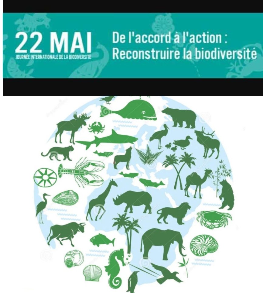 A tous les passionnés de la biodiversité. Yes we can...
 Rappelons que ceci est une affaire de tous...