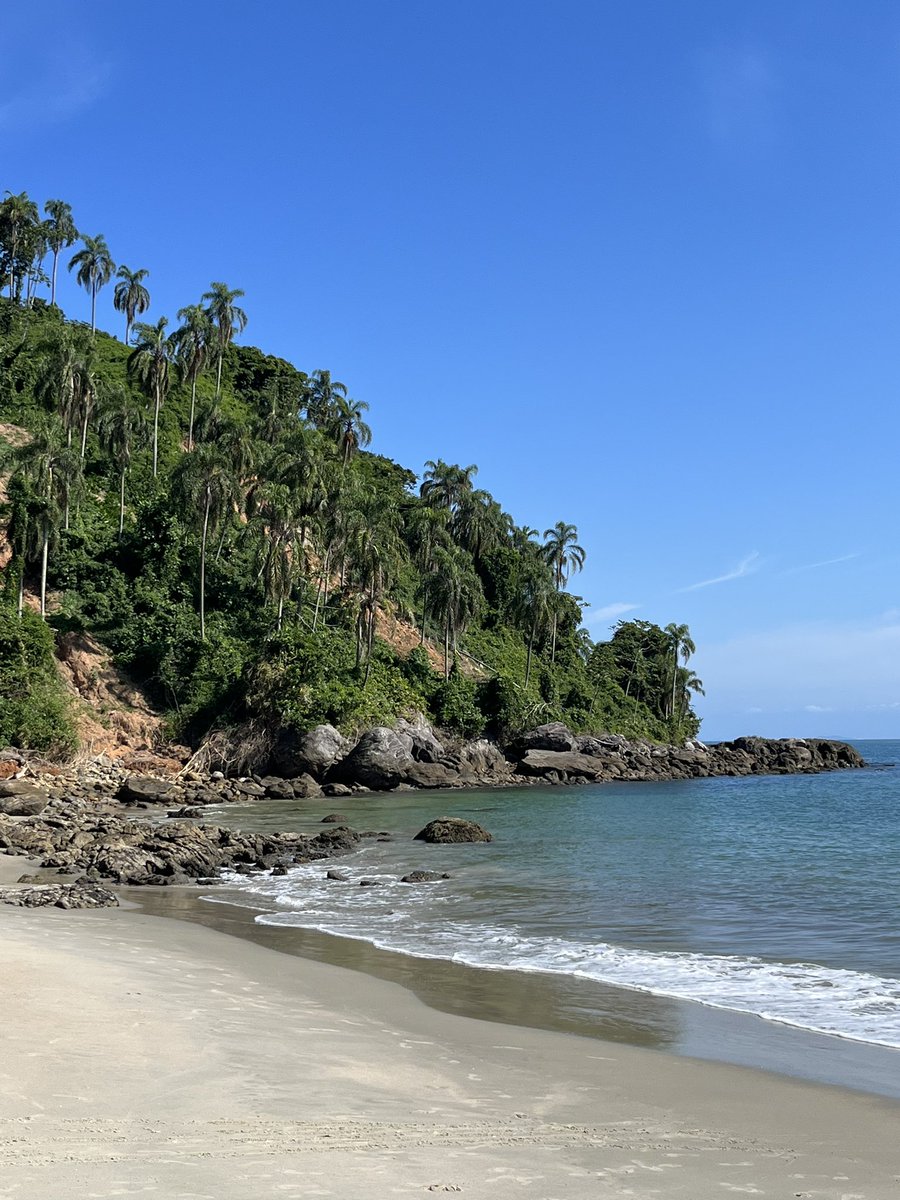ColognaLab's tweet photo. Enjoying the #HBPP workshop in beautiful Sao Sebastiao. Such exciting brain protoemics stories to hear. @us_hupo @hupo_org #MassSpectacular https://t.co/xFgm7zvetq