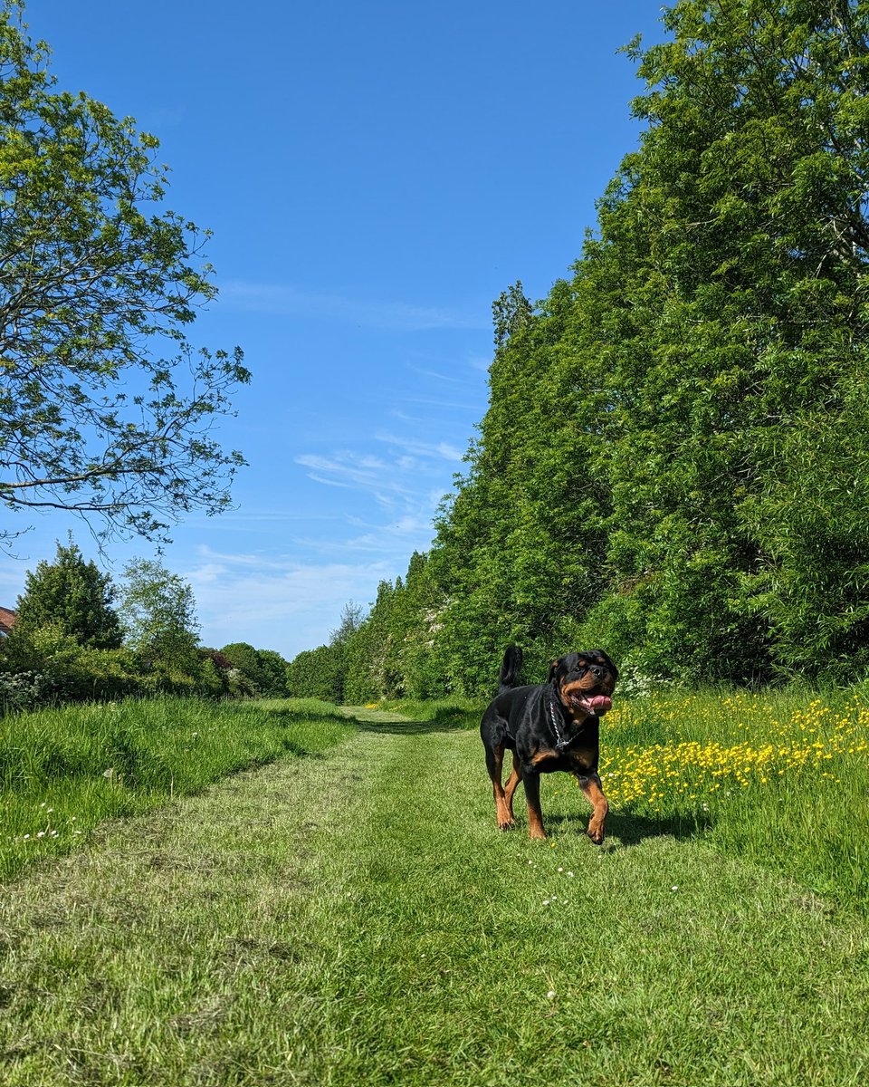 More weather like this please 🙏