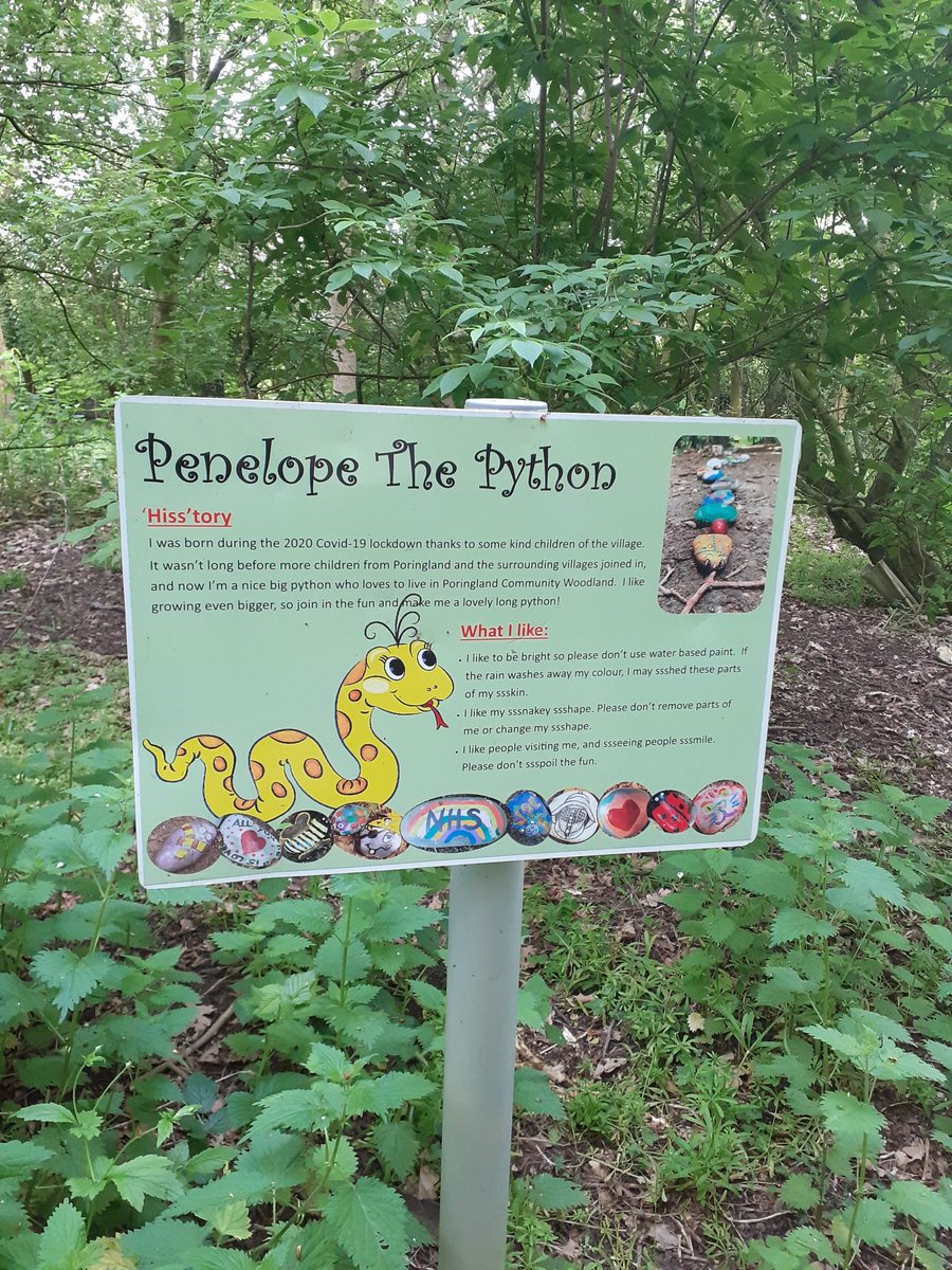 NorWavPerinatal's tweet photo. Lovely walk this morning. Thank you to those of you who joined us. @NSFTtweets #walkandtalk #inthistogether #PeerSupport #woodlandwalks #PenelopeThePython #OutOfTheHouse #PerinatalMentalHealth https://t.co/Pa6UXXhxeZ