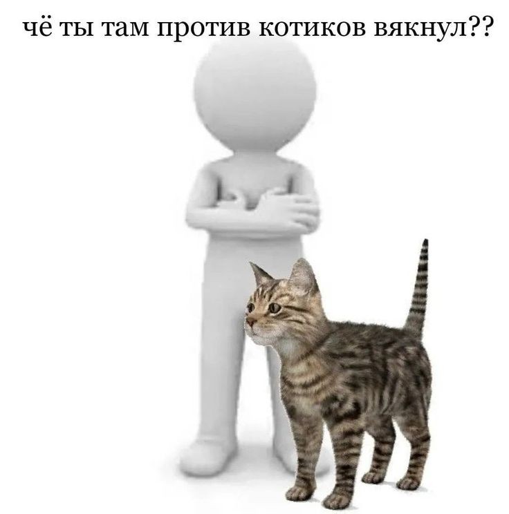 поиск мью!!
(×) я аня; 06;
(×) стэнка skz(ульт), ateez, txt, enhypen, xdinary heroes, lesserafim, gidle, nmixx;
ну и слушаю многих других;
(×) фандом важен!! (что-то из вышеперечисленных<3);
(×) хочу контачить побольше!;