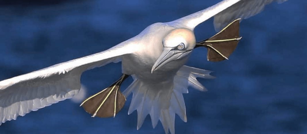 #VYMM. ¿Ver ballenas en la #costavasca? Sí. Es una experiencia emocionante y los municipios de #Santurtzi y #Bermeo se preparan para la nueva temporada de avistamiento de cetáceos y aves marinas, que va de julio a octubre. Anota 👇👇 #GorkaOcio #PaisVasco
viajarymuchomas.com/ver-ballenas-e…