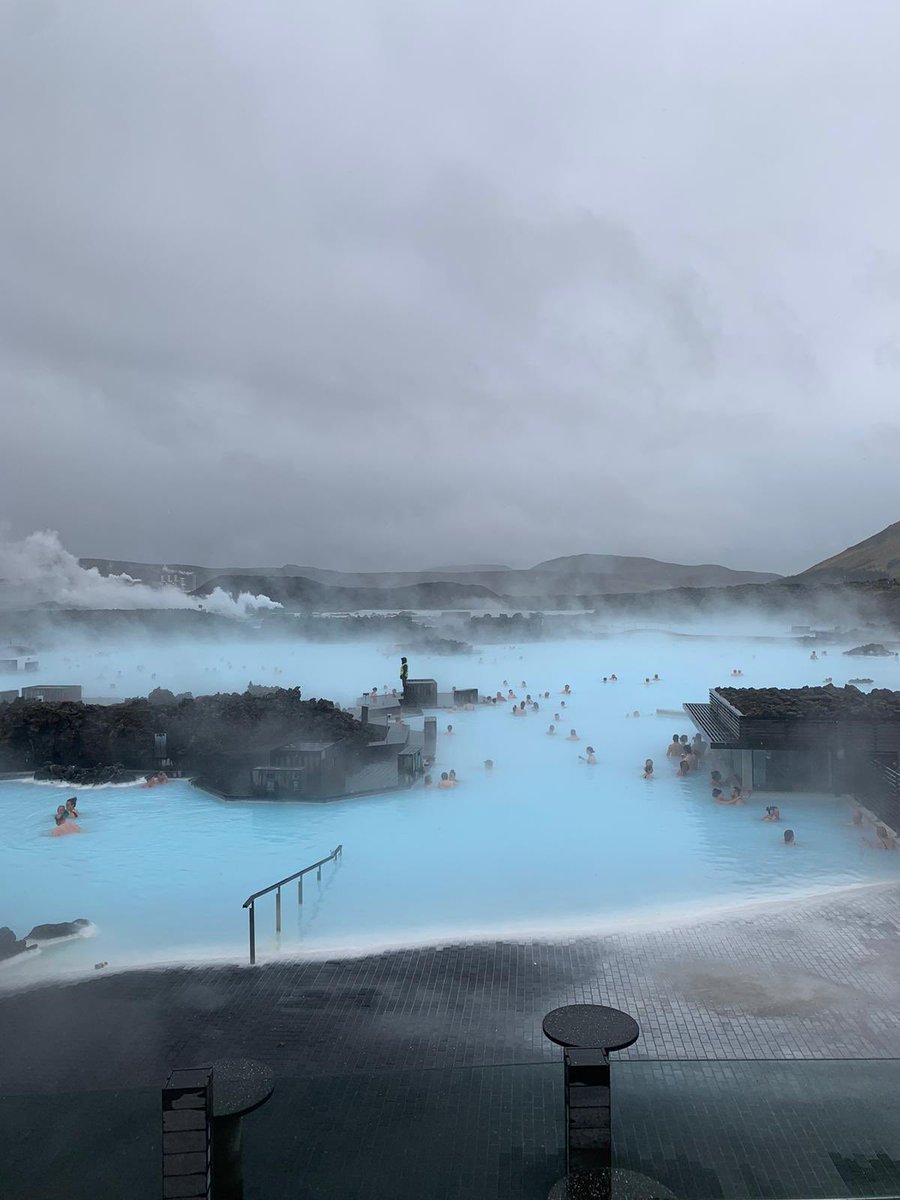 Polar Raid tweet media