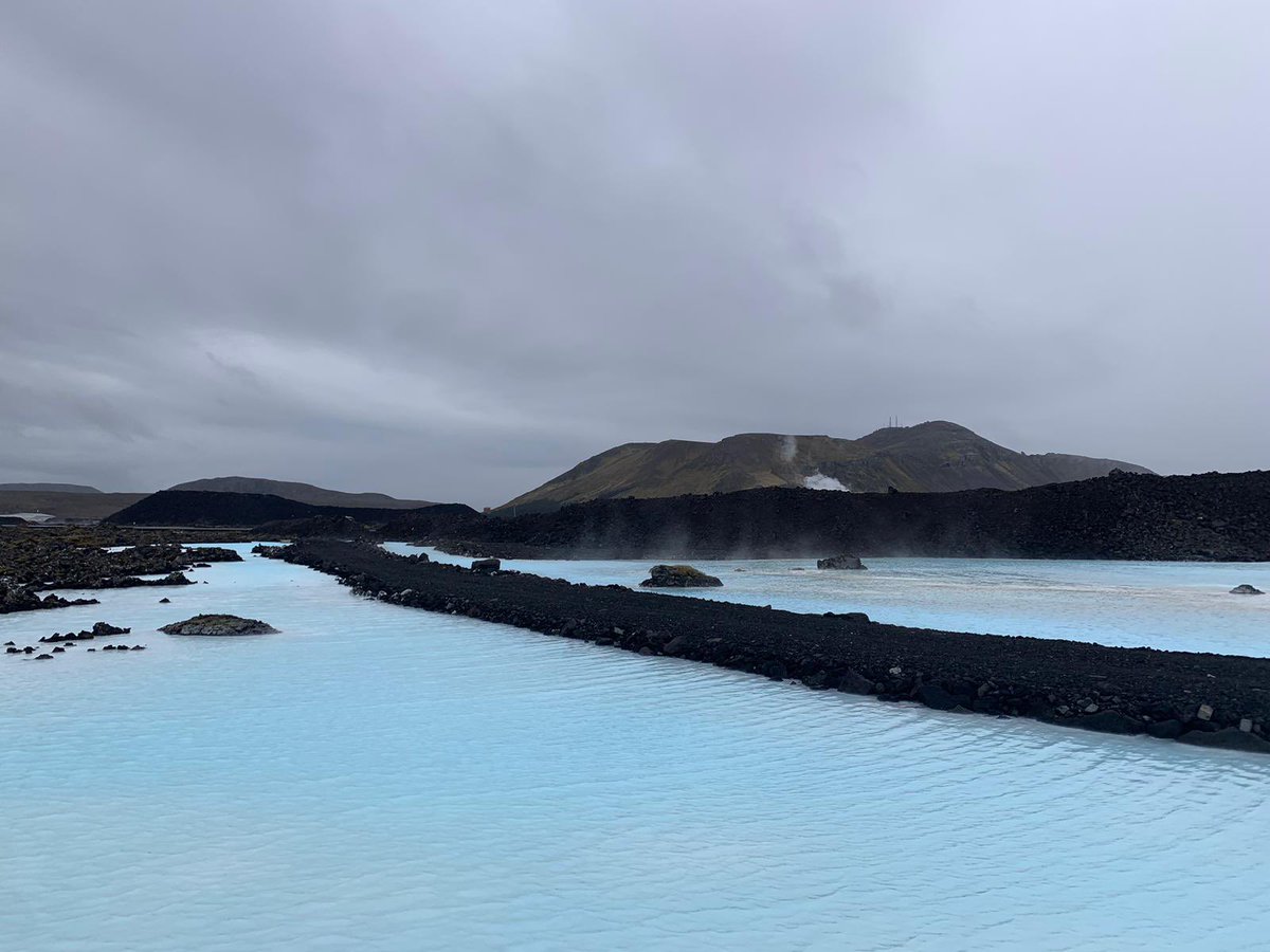 Polar Raid tweet media