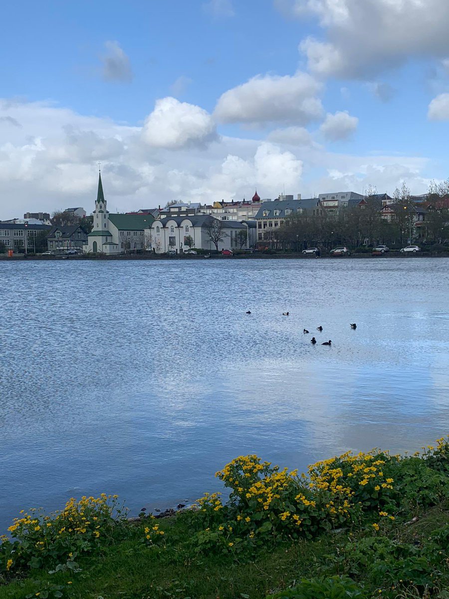 Polar Raid tweet media