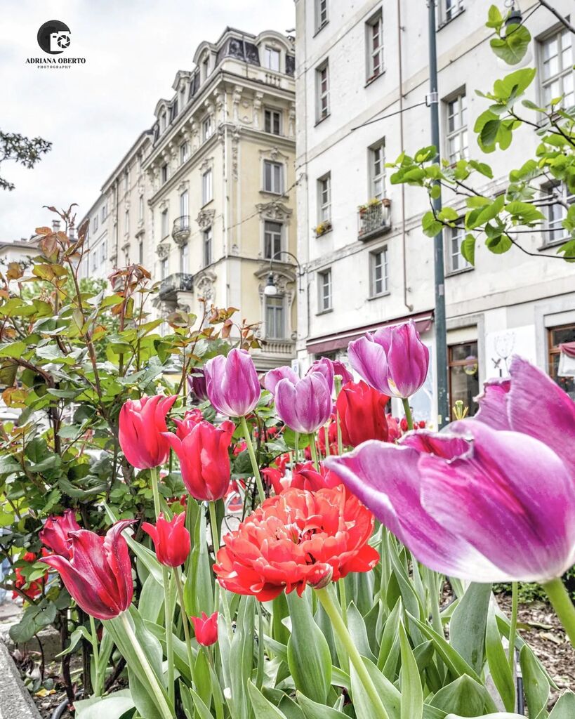 Adriana Oberto tweet media